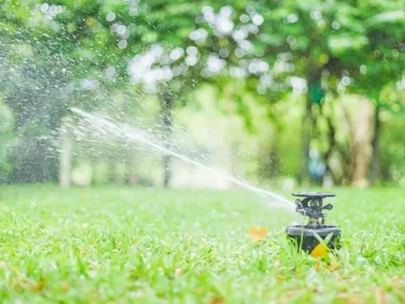 Tưới sân, vườn tự động